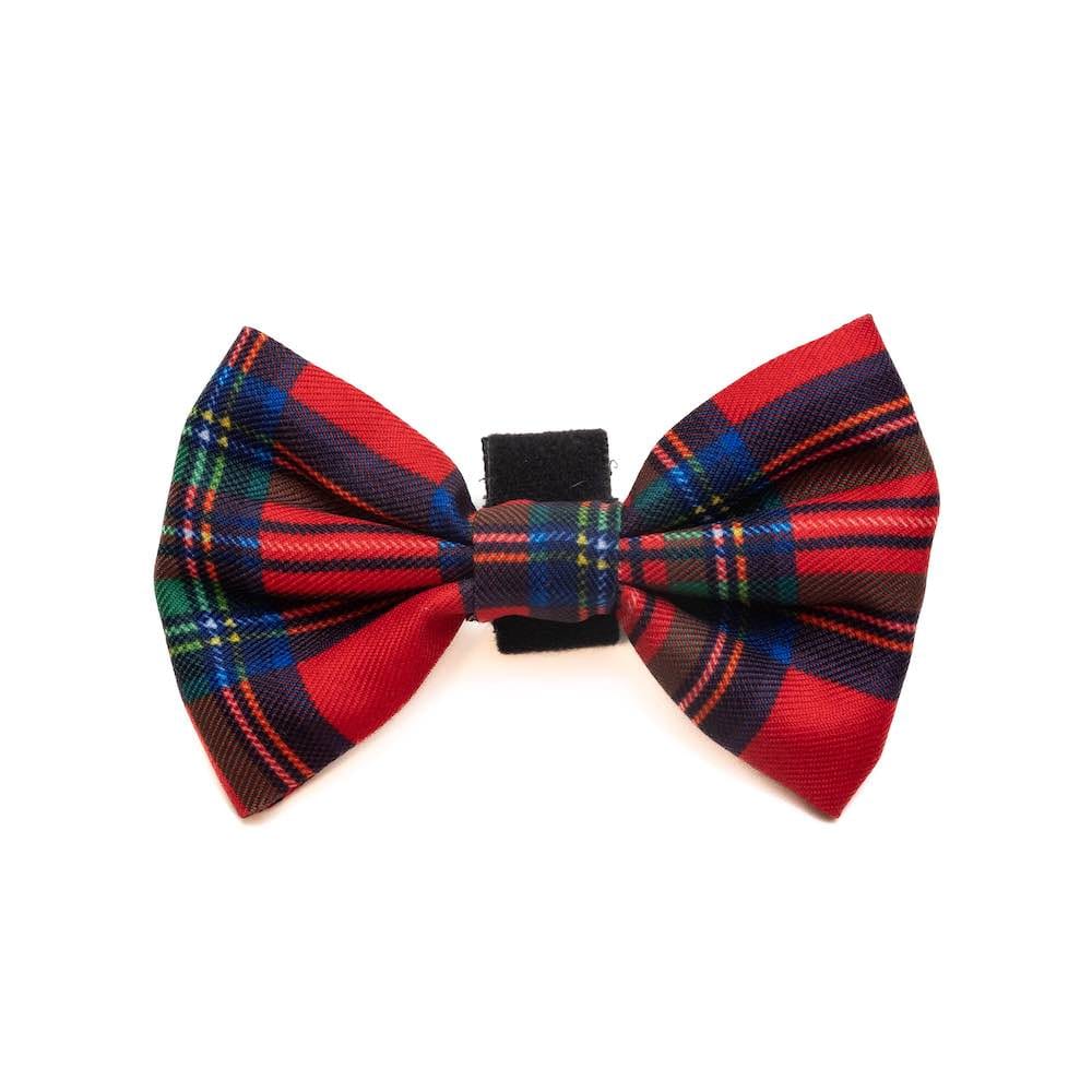 BOWTIE BANANZA